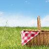 Picnic Outside on a Sunny Day