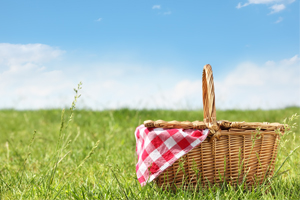 Picnic Outside on a Sunny Day